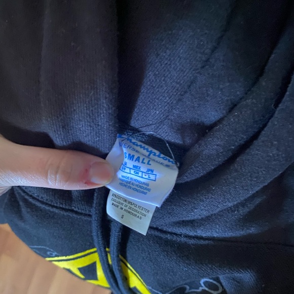 Champion hoodie - Picture 3 of 3